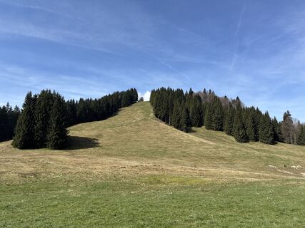 Foto von Similaun entlang der Tour