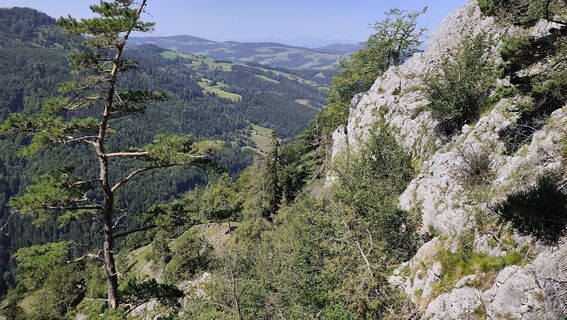 Foto von gemsi101 entlang der Tour
