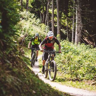 Trail-Action bei einer Waldpassage
