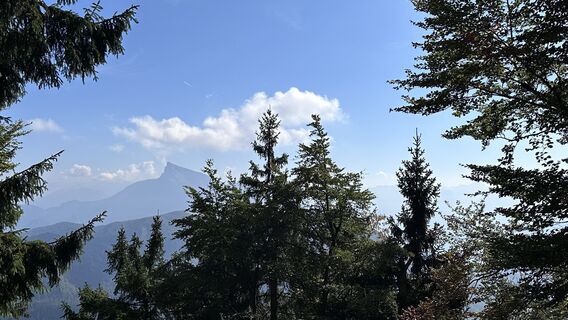 Fotografia z Mountain Cat ? ⛰️ na trase