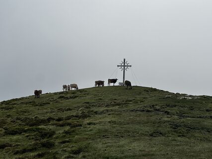 Photo de Paul Plattner le long du parcours