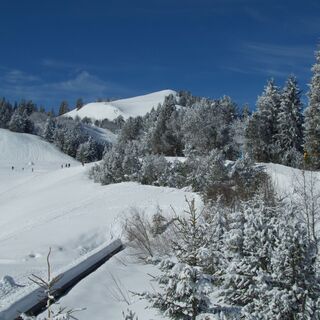 nach Stierenhütte - Winterwanderung Selibüel