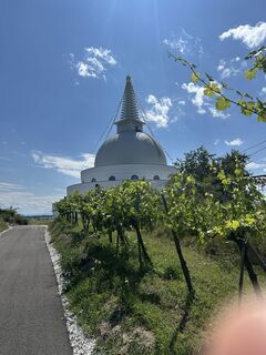Zdjęcie z Gerald Dallhammer wzdłuż trasy