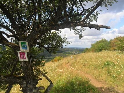 Aussicht ins Dreiländereck mit Beschilderung