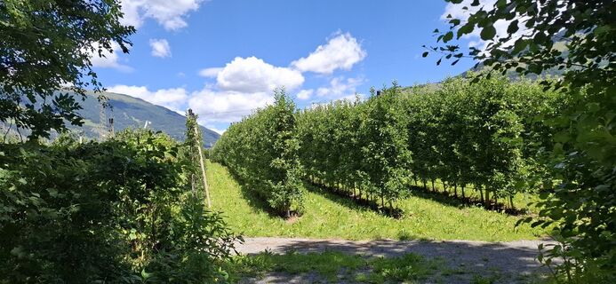 Photo de David Bubenheim le long du parcours