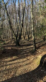 Zdjęcie z Marco Musio wzdłuż trasy