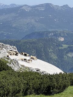 Foto von Simon Payreder entlang der Tour