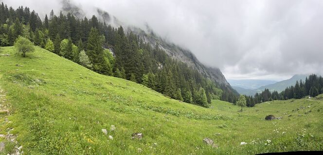 Photo de Niels Kooijman le long du parcours