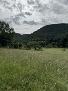 Foto von Alexander Micheli entlang der Tour