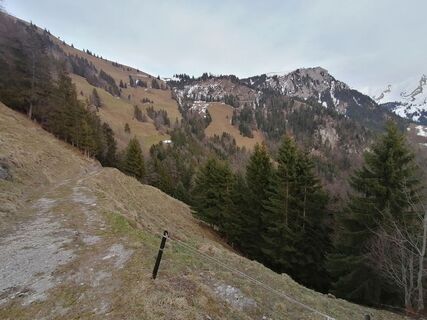 Photo de luyyy le long du parcours