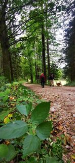 Foto von Klaus Lehner entlang der Tour