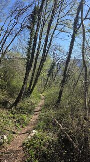 Fotografie z euterpe42 na trase