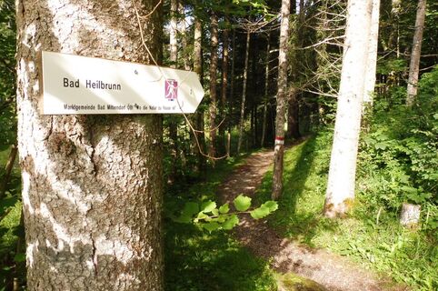 ein wenig auf und ab.