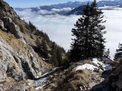 Foto von Natur_erleben_dg entlang der Tour