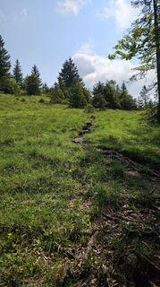 Photo de Christian Thomas le long du parcours