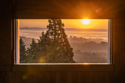 Aussicht vom Burgbergturm