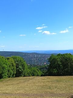 Foto von Julika Jármer entlang der Tour