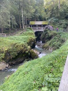 Photo de Celine Verberkt le long du parcours