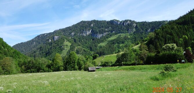 Am Wanderweg über die Wiese