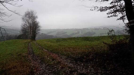 Aufstieg Hochberg, Richtung Forsthof