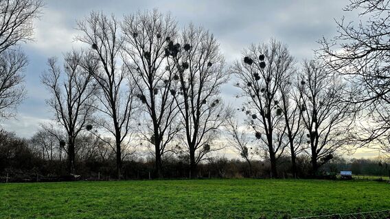Zdjęcie z Edit Szoboszlay wzdłuż trasy