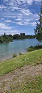 Foto von Mangolein entlang der Tour