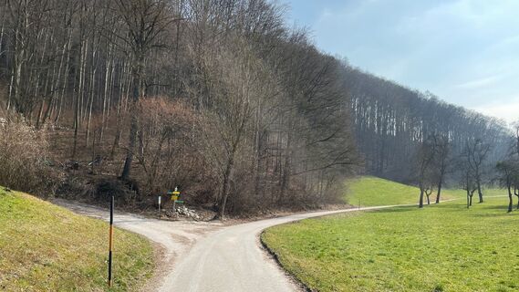 Damberg Trail