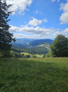 Photo from Andreas Schneider 7 along the tour