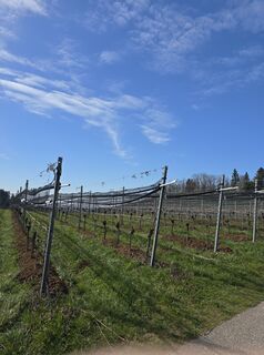 Fotografia z Michel Kennel na trase