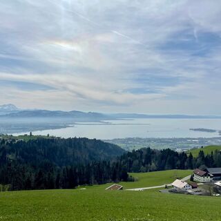 Blick auf den Bodensee