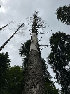 Foto fra Cyrill Bischof undervejs på turen