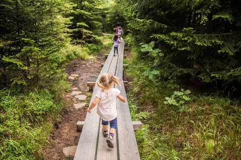 Weg in Moorlandschaft - Familien- und Themenweg Gäggersteg
