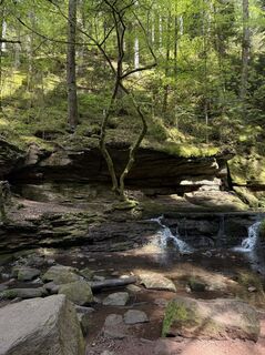 Foto da nitronoa lungo il tour