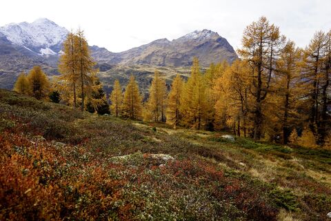 Fotografia z Laura Acosta Cruz na trase