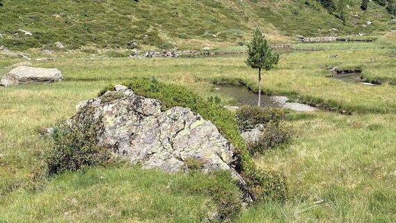Photo de Kauz199 le long du parcours