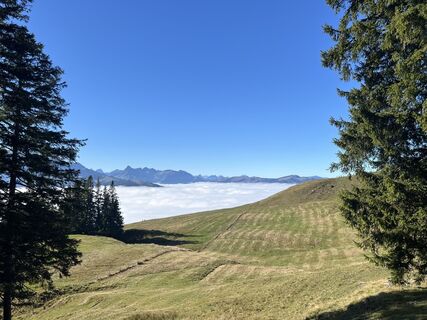 Photo de Georges RIEDO 1 le long du parcours