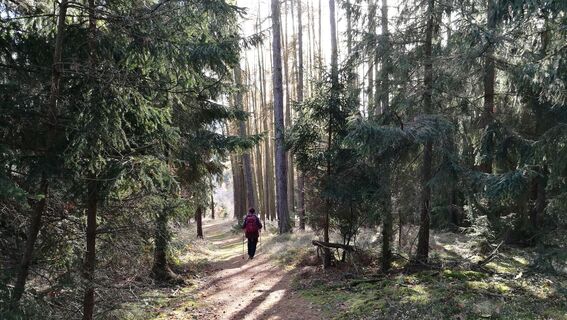Von Bucha zur Klinkhardtshöhe und Gustavs Ruh