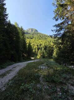 Fotografia z Florian Dürnegger na trase