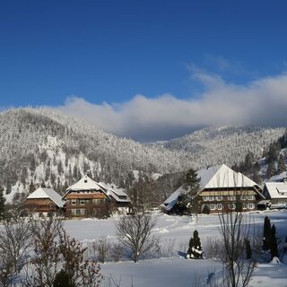Menzenschwand Hinterdorf
