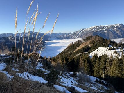 Foto von Natur_erleben_dg entlang der Tour