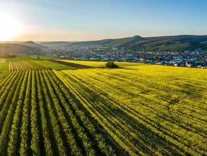 Rundblick über Bad Neuenahr-Ahrweiler