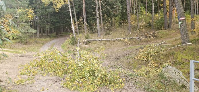 Fotografia z Berni_S na trase