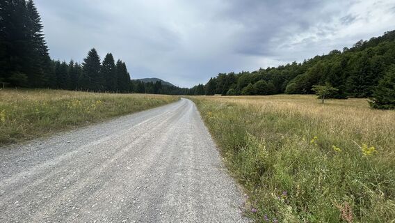 Photo de divancan le long du parcours