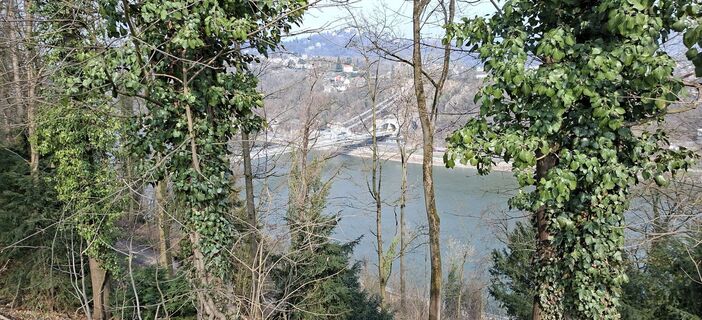 Fotografija s spletne strani M Dicketmueller na poti