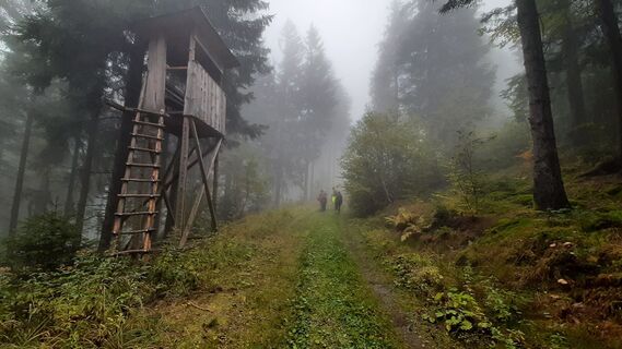 Zdjęcie z Aga M wzdłuż trasy