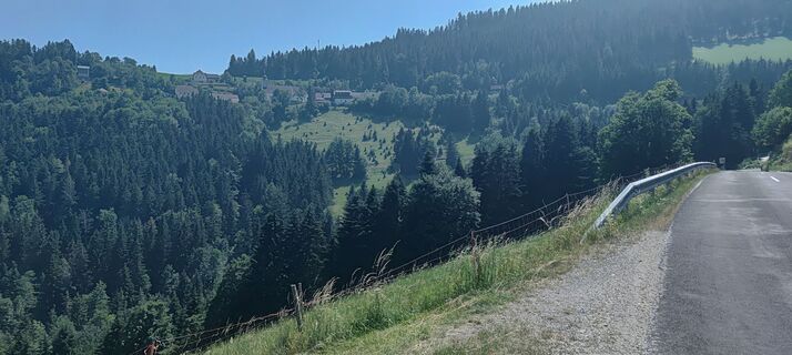 Foto von wolfkl entlang der Tour