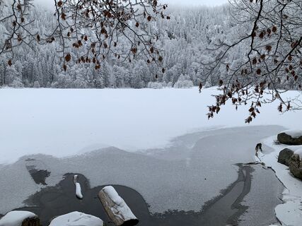 Foto från Kristina  1 under resans gång