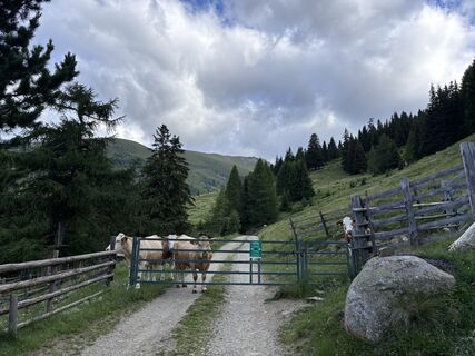 Photo de Andreas le long du parcours