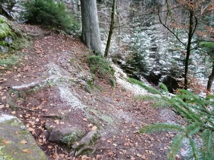 Weg auf dem Ruine Waldeck-Trail