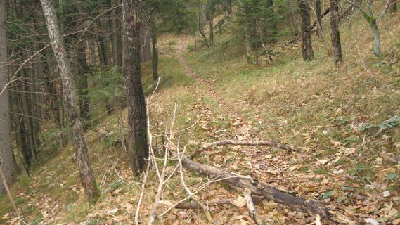 Aufstieg Schwarzwald